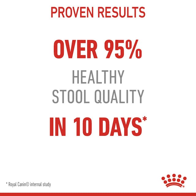 غذای خشک گربه برند رویال کنین مدل Digestive Care مخصوص گوارش - تصویر 5